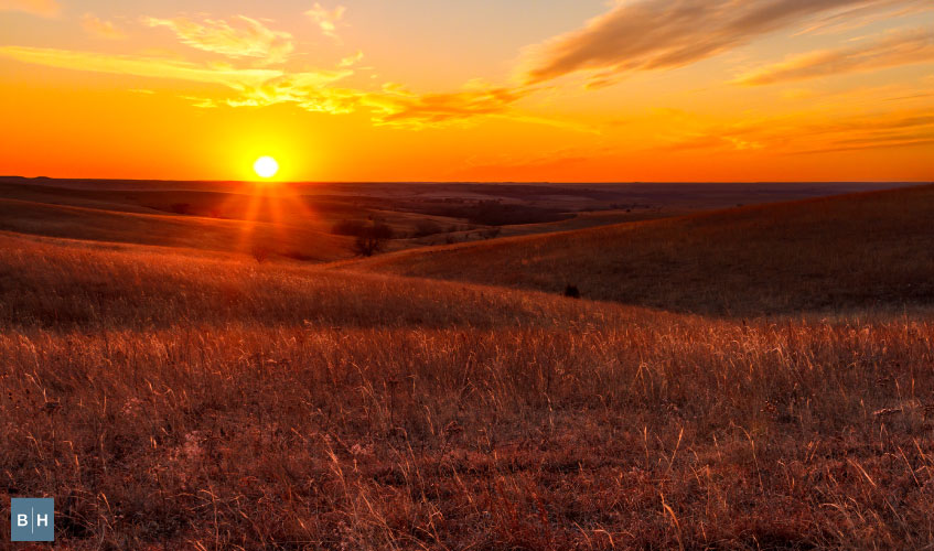 Wake up with the sun